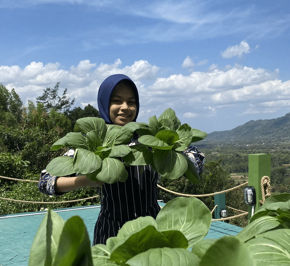 Karyawan Kedai Bukit Rhema dan Panen Hidroponiknya